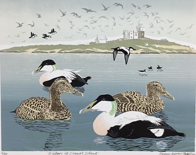 Lot 190 - Penny Berry Paterson (1941-2021) colour linocut - 'Eiders off Coquet Island', signed and numbered 6/20, image 42cm x 34cm, unframed.