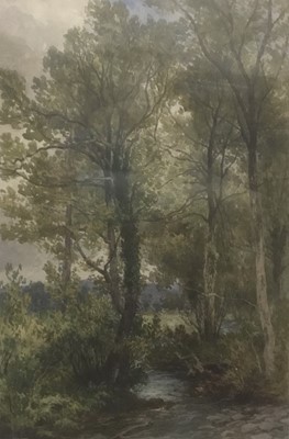 Lot 278 - John Steeple (1823-1887) watercolour - Stream in a landscape, signed and dated 1879, 36 x 24cm, glazed frame