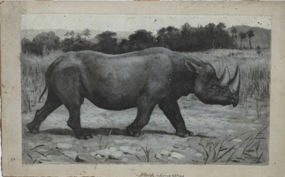 Lot 1025 - Harry Dixon (1861-1942), oil on card, 'Black Rhino'