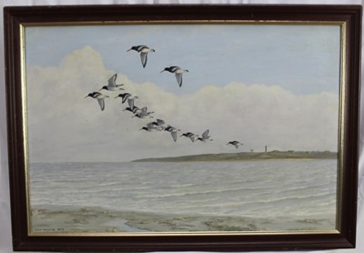 Lot 1001 - *Julian Novorol (b. 1949) oil on board - Oystercatchers, signed and dated 1975, inscribed verso, 49 x 75cm, framed