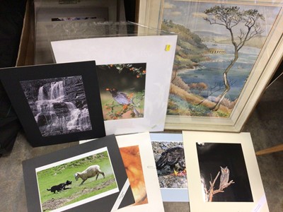 Lot 463 - Group pictures and prints
