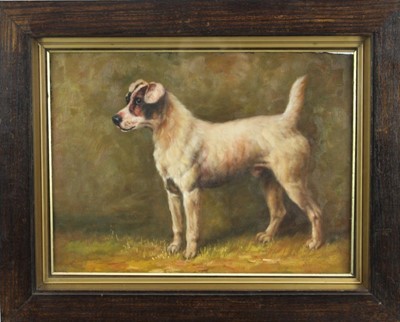 Lot 1047 - English School, circa 1950, oil on board- Parson Russell Terrier, in gilt 
and oak frame. 28 x 40cm.