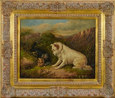 Lot 1041 - Albert Clark, oil on canvas "Pot Hunting" terriers at a rabbit hole, signed and inscribed, in gilt frame. 
40 x 50cm.