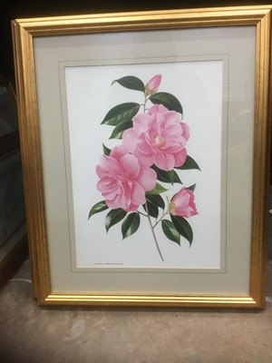 Lot 185 - Collection or decorative floral prints, all in glazed frames