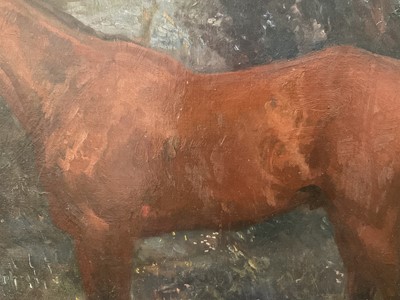 Lot 1163 - *Sir Alfred Munnings oil on canvas - Bay Hunter in Landscape, signed and dated 1908