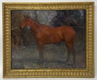Lot 1163 - *Sir Alfred Munnings oil on canvas - Bay Hunter in Landscape, signed and dated 1908