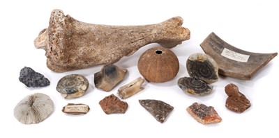 Lot 899 - Interesting collection of antiquities, natural history and curios