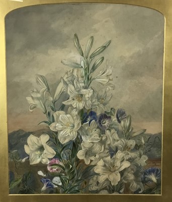 Lot 320 - Mid Victorian large botanical watercolour