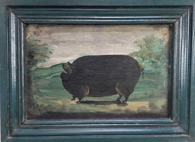 Lot 249 - Naive English School, oil on board, A prize pig, in painted frame. 
20 x 31cm.