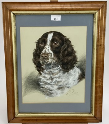 Lot 251 - K.C. Brown, mixed media, "Rufus", a spaniel, signed and dated 
1940, in maple frame. 34 x 27cm.