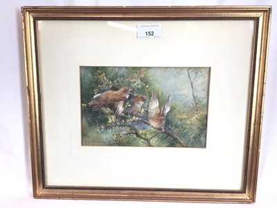 Lot 151 - Charles Henry C. Baldwyn (1859-1943) watercolour and bodycolour fledglings