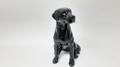 Lot 99 - Beswick Fireside model - Labrador, no 2314, designed by Graham Tongue, 34cm high