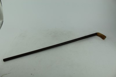 Lot 924 - 19 th century percussion gun stick with stag horn handle Days Patent Newgate makers mark 40 bore