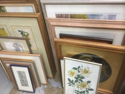 Lot 184 - Large collection of assorted pictures and prints
