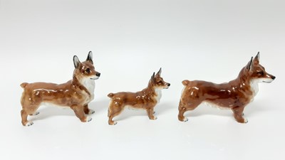 Lot 130 - Two Royal Doulton model Welsh Corgi HN2558, together with another HN2559 (3)