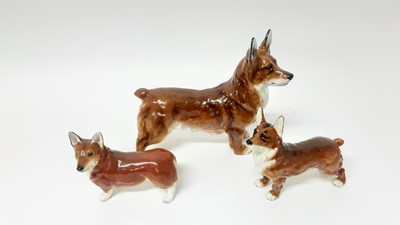 Lot 131 - Coalport model Corgi, together with a Goebel Corgi and Royal Doulton Corgi - Spring Robin HN2557 (3)