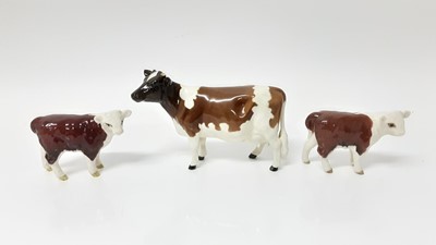 Lot 135 - Two Beswick Hereford calves, model no. 1827C, designed by Arthur Gredington, 7.6cm high, together with a an Ayrshire Cow (3)