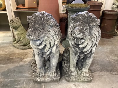 Lot 1033 - Pair of concrete garden lions, 64cm high