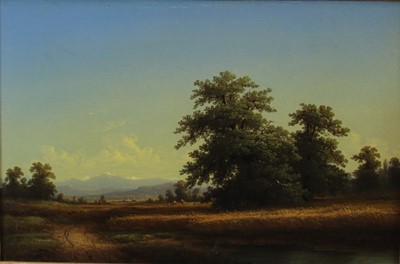 Lot 1159 - Steven Jeune (19th century) oil - extensive landscape