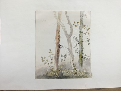 Lot 1221 - Thomas Churchyard (1798-1865) watercolour - tree study, 11.5cm x 9.5cm, unframed
