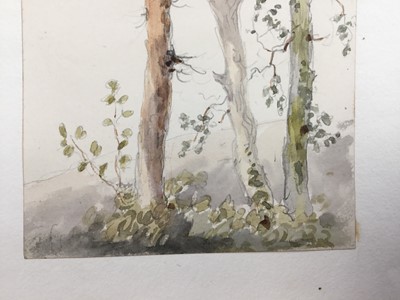 Lot 1221 - Thomas Churchyard (1798-1865) watercolour - tree study, 11.5cm x 9.5cm, unframed