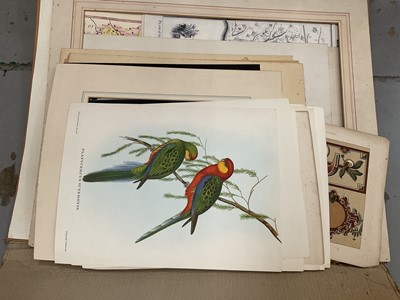 Lot 32 - Folder of unframed 18th / 19th century prints, architectural drawings and posters