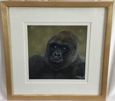 Lot 139 - Natalie Mascall (contemporary) pastel, Gorilla