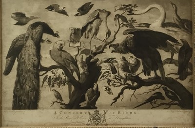 Lot 63 - After Mario di Fiore - 18th century engraving - ‘A Concert of Birds’ at Houghton, in period glazed frame