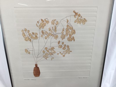 Lot 13 - Tessa Beaver (b.1932) a pair of signed and numbered prints - 'Papyrus', 99/150 and 'Honesty', 135/150, both images 40cm x 47cm, in glazed frames (2)