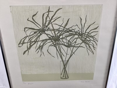 Lot 13 - Tessa Beaver (b.1932) a pair of signed and numbered prints - 'Papyrus', 99/150 and 'Honesty', 135/150, both images 40cm x 47cm, in glazed frames (2)