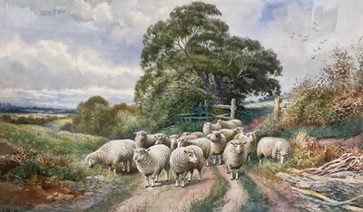 Lot 141 - A Watts (early 20th century) watercolour, Sheep in a lane, signed and dated 1911, glazed gilt frame