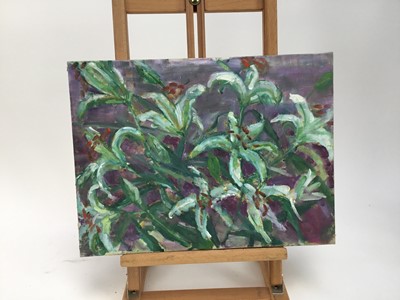 Lot 2 - Elisabeth Fraser (b.1930) group of five oils on canvas - still life, unframed