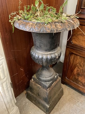 Lot 1329 - Pair of cast iron campana urns