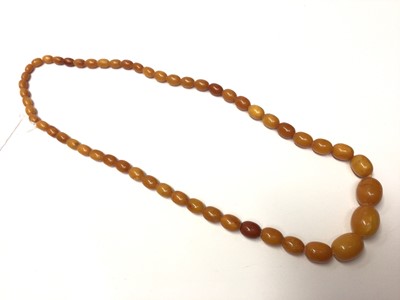 Lot 171 - Vintage amber necklace with a string of graduated butterscotch amber beads