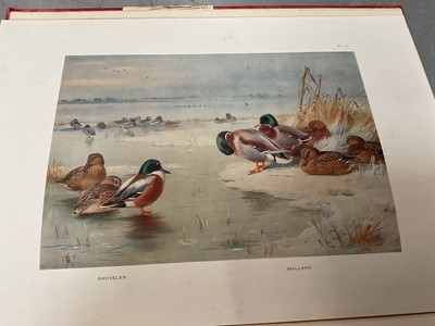 Lot 1751 - Game Birds and Wild-Fowl, illustrated by Archibald Thorburn,  1923, folio