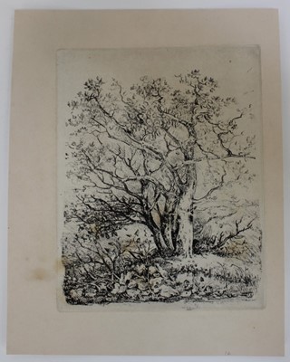 Lot 1108 - John Crome 1768-1821 soft-ground etching on chine collé laid to wove support published 1834 edition of 60