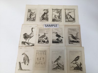Lot 266 - A group of 40 plates from Buffon's Natural History, 1812