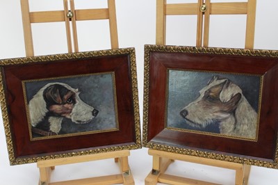 Lot 1005 - English School 19th Century, pair of oils on canvas, 
Heads of Terriers, in gilt frames.  
Each 16 x 24cm.  (2)