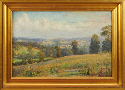 Lot 995 - *Margaret Dovaston (1884-1955) oil on canvas - extensive rural landscape, signed and dated 191?, 30cm x 45cm, in gilt frame