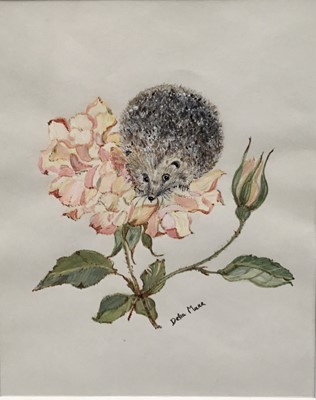 Lot 546 - Delia Marr, contemporary, group of five charming gouache illustrations - Animals and Flowers, signed, 19cm x 15cm, in glazed frames