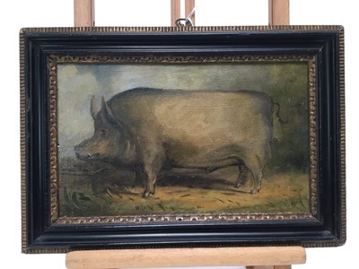 Lot 156 - English School, oil on panel - A Prize Pig, 17cm x 28.5cm, in Hogarth frame