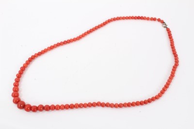 Lot 633 - Antique coral bead necklace with a string of graduated coral beads measuring approximately 4mm to 9.25mm on a gold clasp, 50cm.