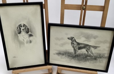 Lot 277 - Herbert Wynn Hellings (1873-1948) pencil, three dog portraits, each signed, the largest 29 x 49cm, in glazed frames