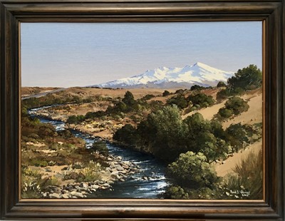 Lot 354 - Peter J. Wallers (b.1953) oil on board - Australian Landscape, signed and dated 2003, 37cm x 50cm, framed