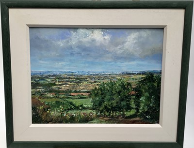 Lot 363 - David Slater (b.1943) acrylic on paper - Distant Water, initialled, 30cm x 40cm, framed