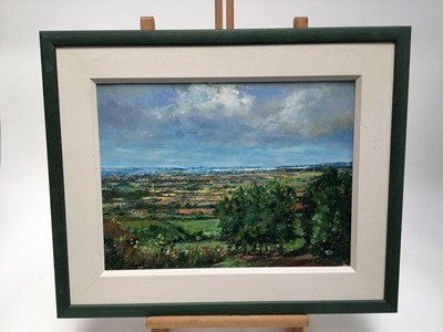 Lot 58 - David Slater (b.1943) acrylic on paper - Distant Water, initialled, 30cm x 40cm, framed