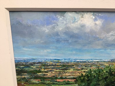 Lot 58 - David Slater (b.1943) acrylic on paper - Distant Water, initialled, 30cm x 40cm, framed