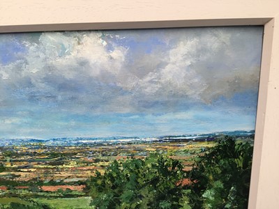 Lot 58 - David Slater (b.1943) acrylic on paper - Distant Water, initialled, 30cm x 40cm, framed