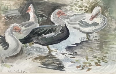 Lot 155 - Peter E Clarke (Contemporary) watercolour, Kersey water splash, signed, 33 x 54cm, glazed frame