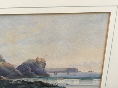 Lot 73 - Claude Hart (19th century), waterclour - cormorants on the shore, signed, 24cm x 34cm, in glazed gilt frame